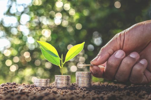 Hand giving a coin to a tree growing from pile In coin Money. Financial accounting, Investment Concept. Hand giving a coin to a tree growing from pile In coin Money. Financial accounting, Investment Concept.
